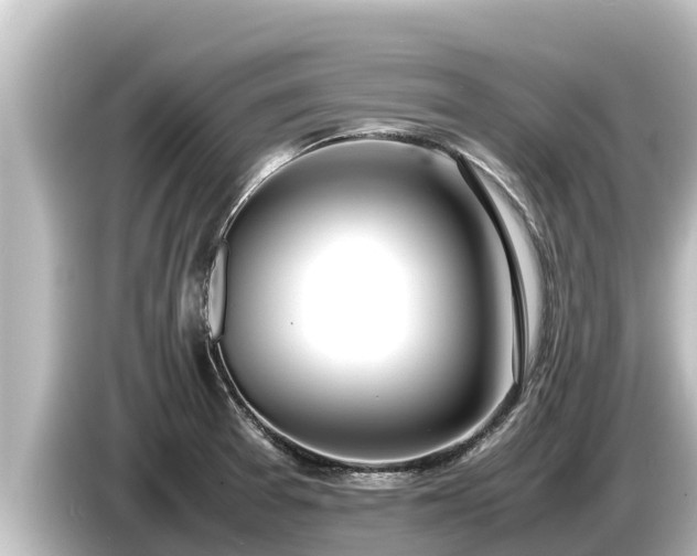 X0000085311377200703161444