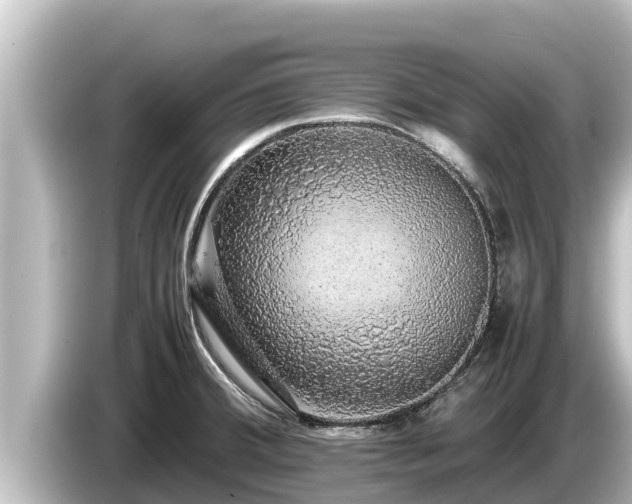 X0000085311380200703161444