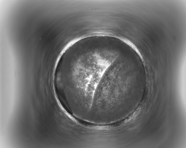 X0000085311381200703161444