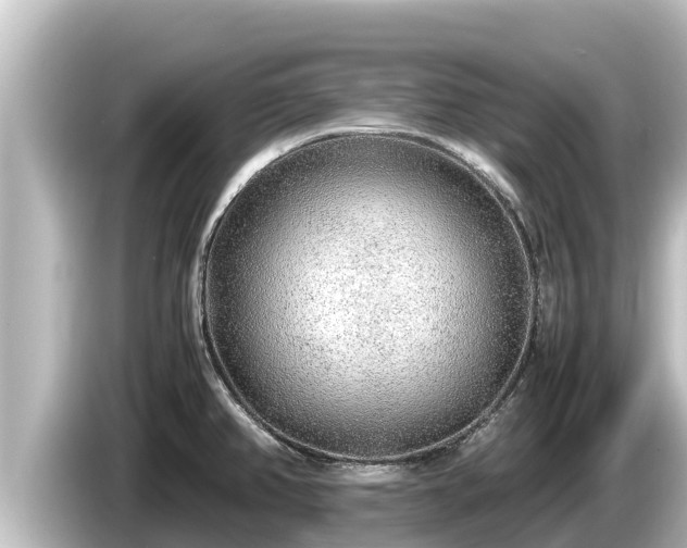 X0000085311382200703161444