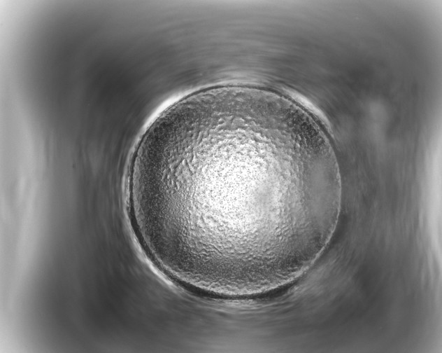 X0000085311383200703161444