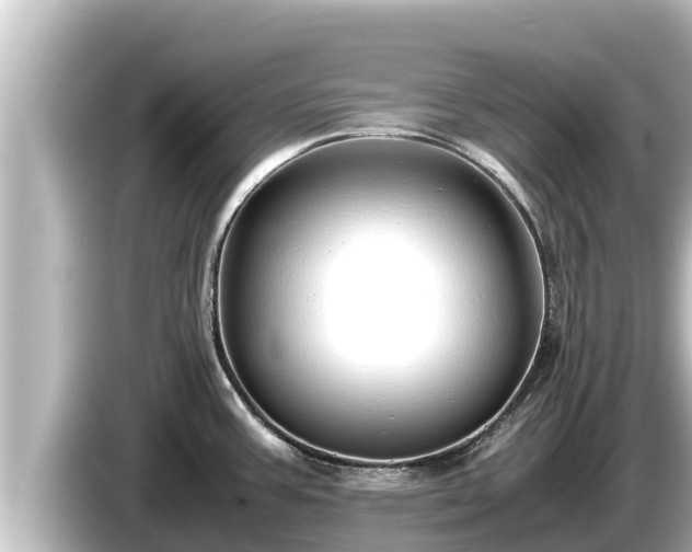 X0000085311387200703161444