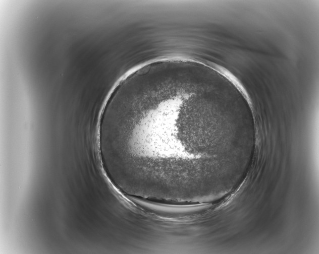 X0000085311388200703161444