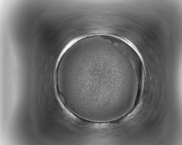 X0000085311389200703161444