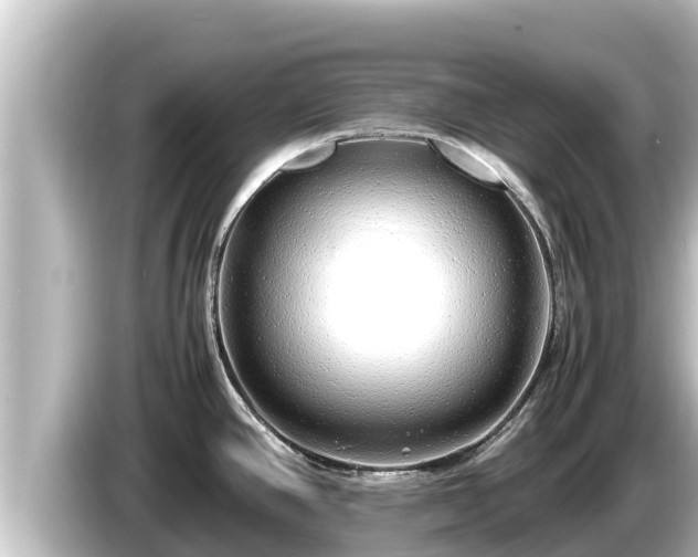 X0000085311390200703161444