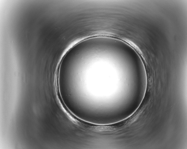 X0000085311391200703161444