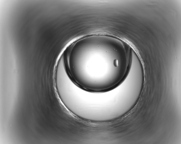 X0000085311392200703161444