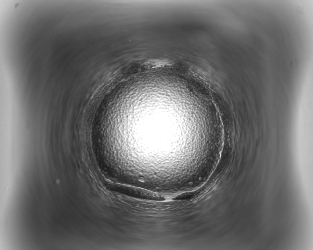 X0000085311393200703161443