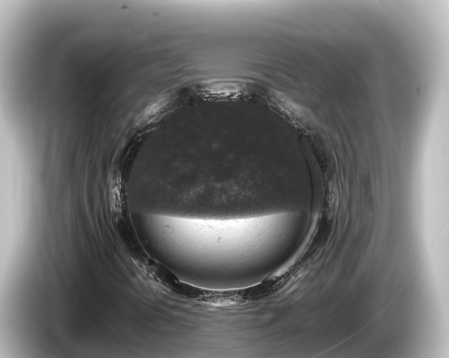 X0000085311394200703161443