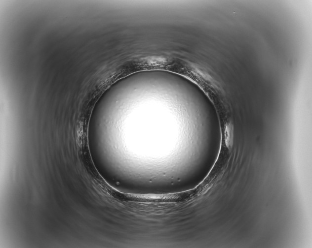 X0000085311395200703161443