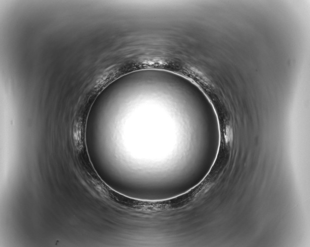 X0000085311396200703161443