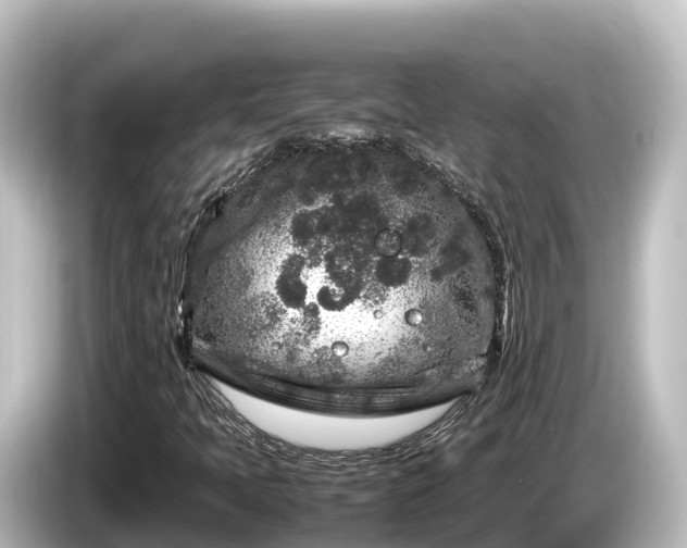X0000085311397200703161443