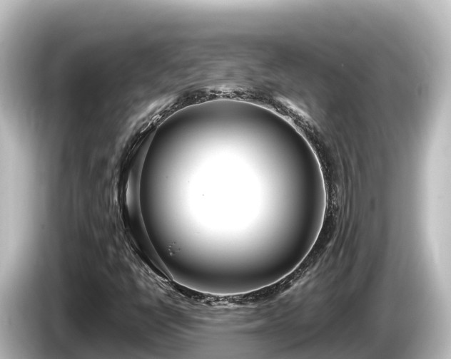 X0000085311398200703161443