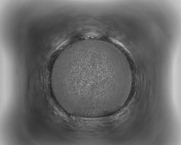 X0000085311399200703161443