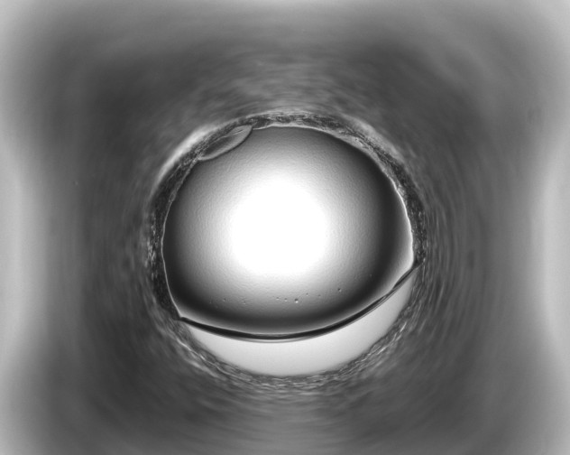 X0000085311400200703161443