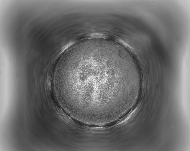 X0000085311401200703161443