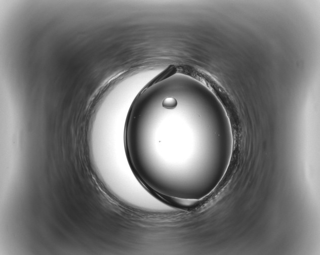 X0000085311402200703161443