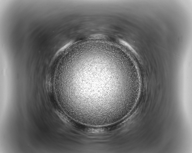 X0000085311403200703161443