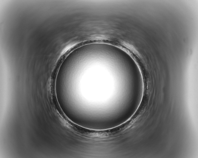 X0000085311404200703161443
