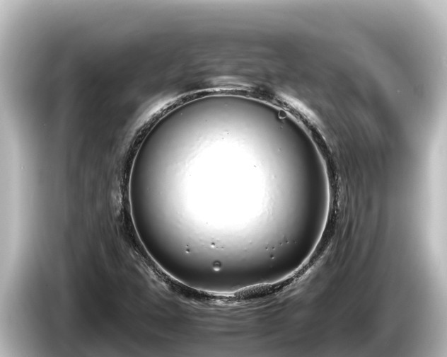 X0000085311407200703161444