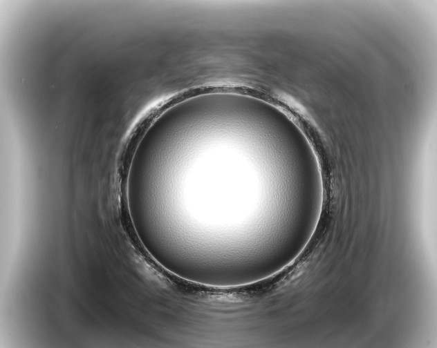 X0000085311408200703161444