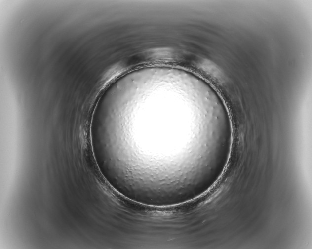 X0000085311409200703161444