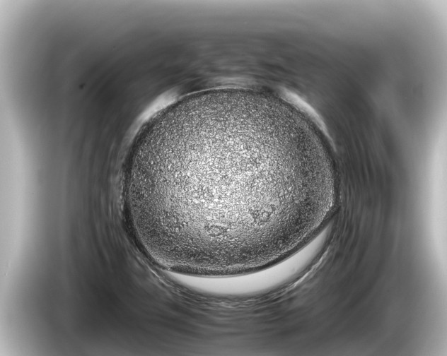 X0000085311411200703161444