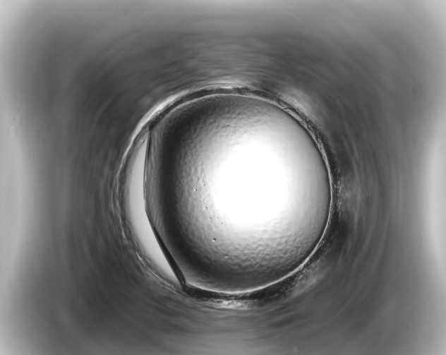 X0000085311412200703161444