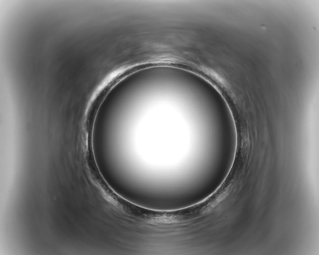 X0000085311414200703161444