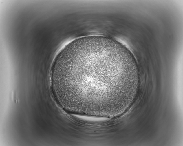 X0000085311415200703161444