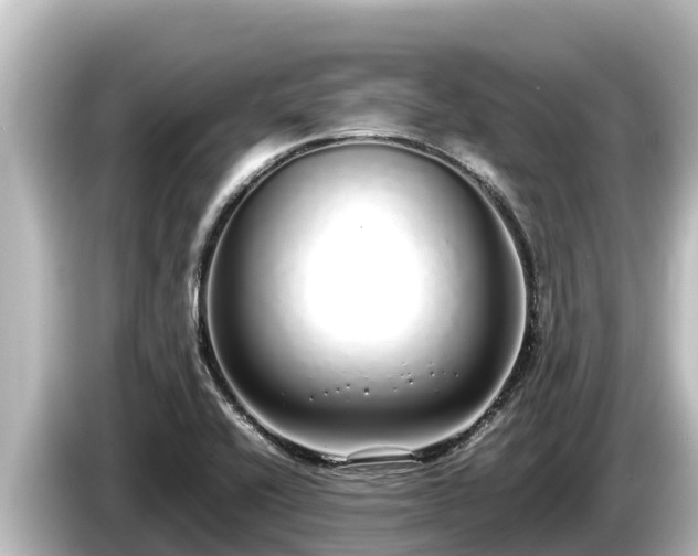 X0000085311416200703161444