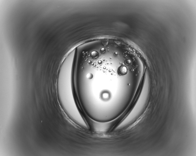 X0000085311417200703161444