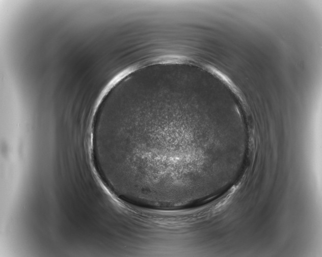 X0000085311418200703161444
