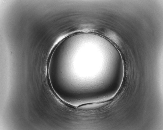 X0000085311420200703161444