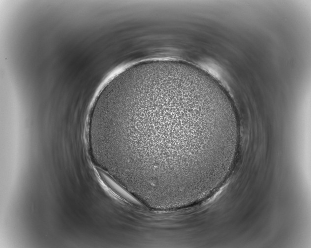 X0000085311421200703161444