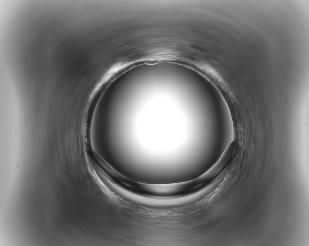 X0000085311422200703161444