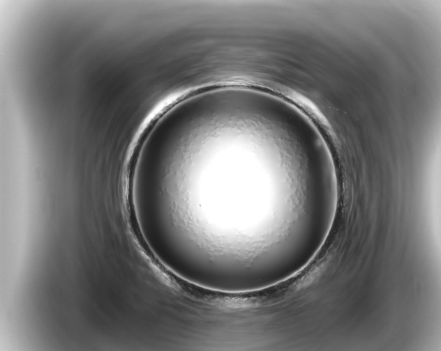 X0000085311424200703161444