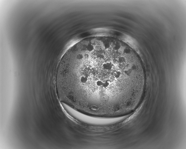 X0000085311425200703161444