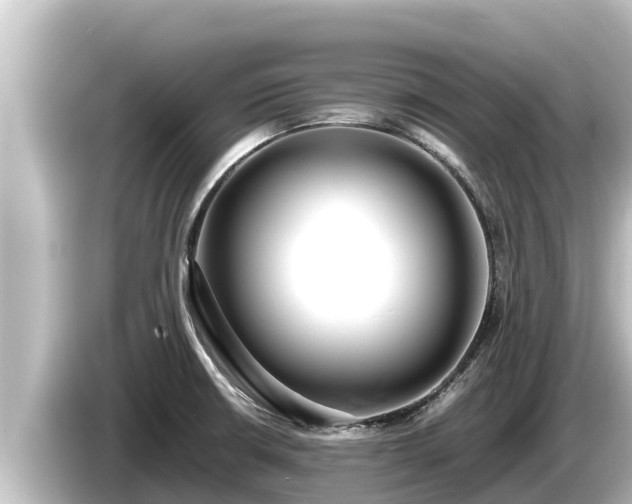 X0000085311426200703161444