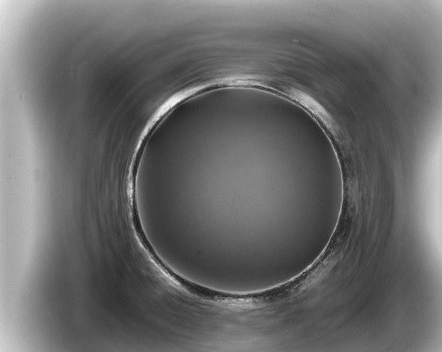 X0000085311428200703161444