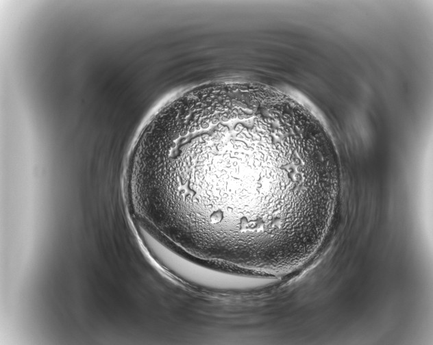 X0000085311429200703161444
