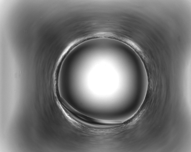X0000085311430200703161444