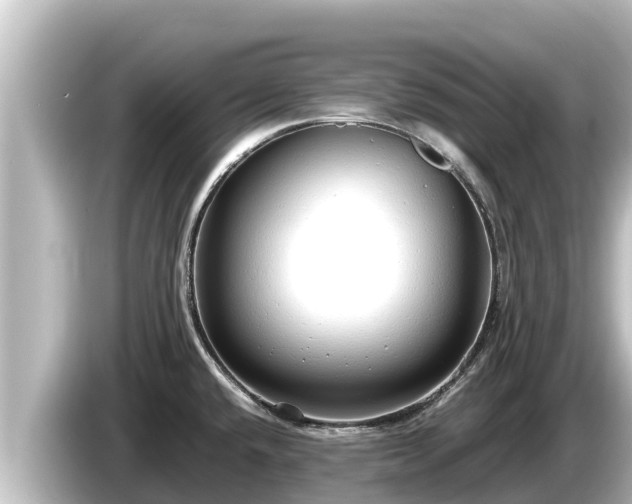 X0000085311432200703161444