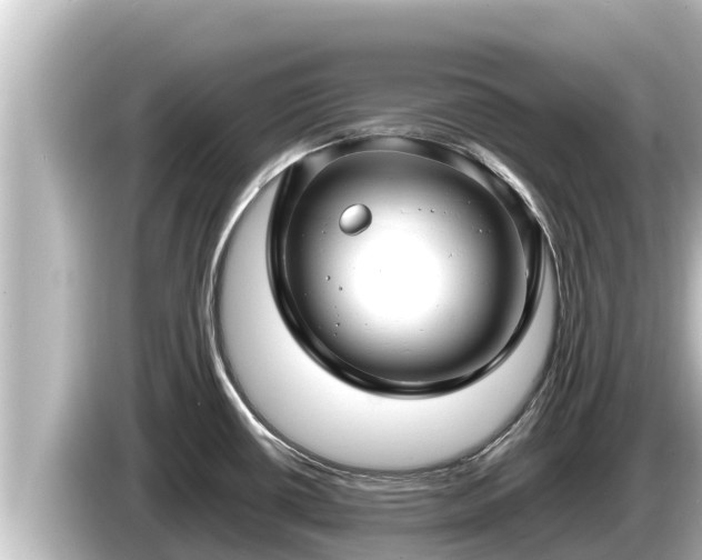 X0000085311434200703161444