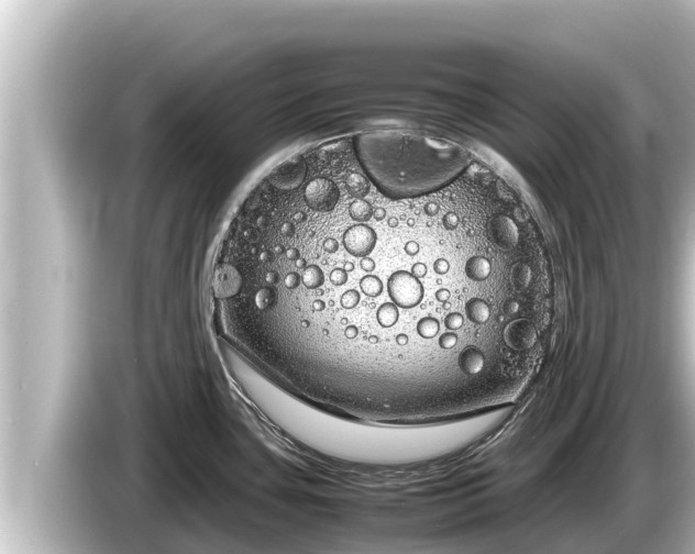 X0000085311435200703161444