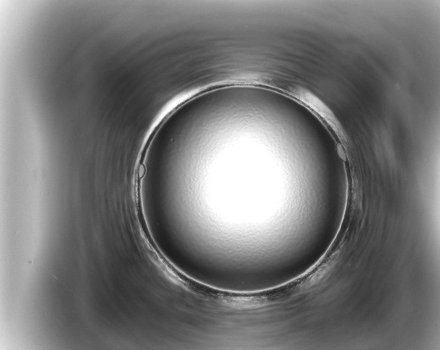 X0000085311436200703161444