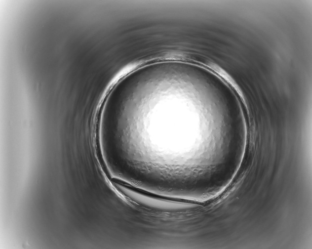 X0000085311437200703161444
