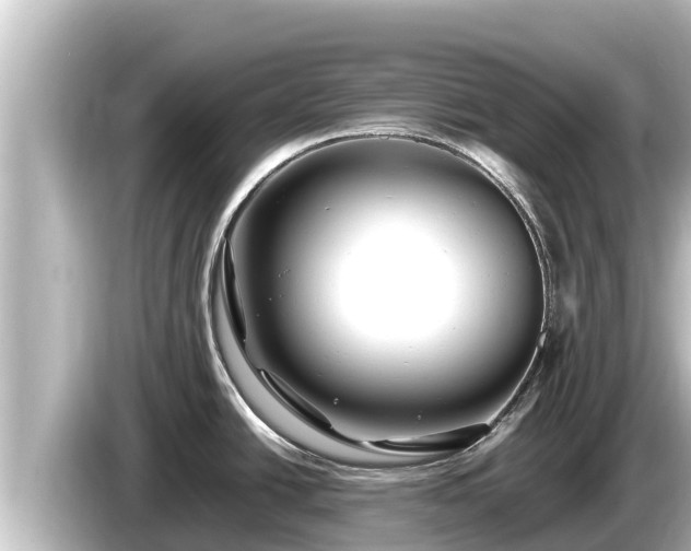 X0000085311438200703161444