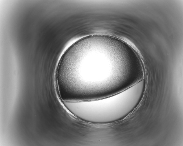 X0000085311440200703161444