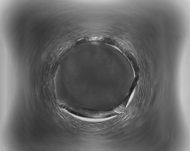 X0000085311441200703161443
